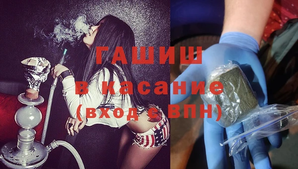 стаф Алзамай