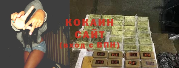 стаф Алзамай