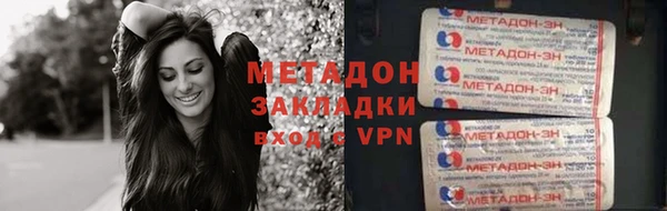 стаф Алзамай