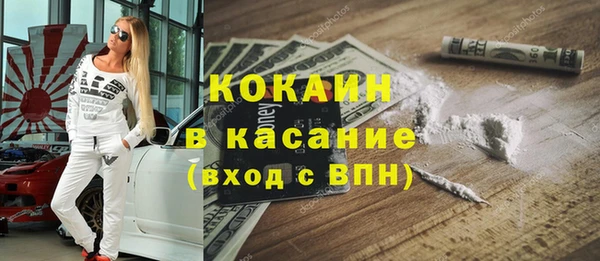 стаф Алзамай
