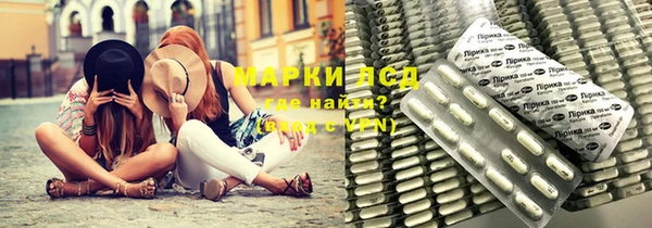 стаф Алзамай