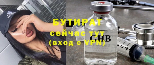 стаф Алзамай
