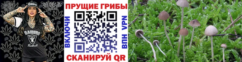 Псилоцибиновые грибы Magic Shrooms  Спасск 