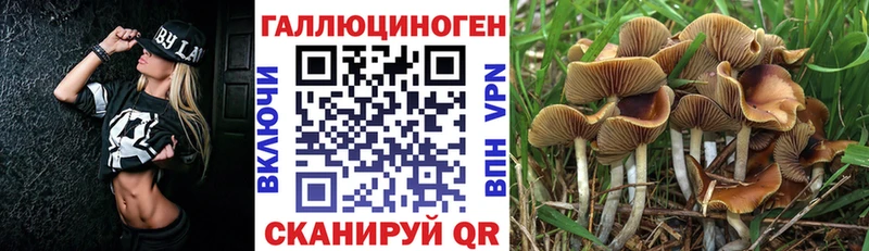 Псилоцибиновые грибы мухоморы Спасск